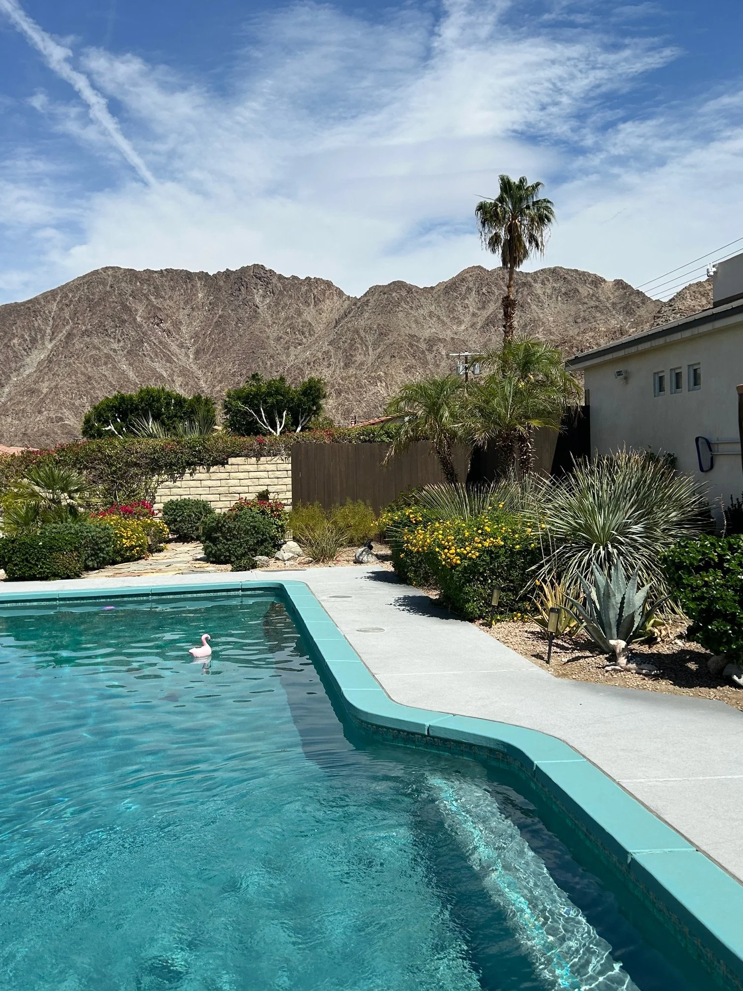 A backyard swimming pool surrounded by a patio with plants and bushes, includes a pink flamingo pool float, with mountains and a partly cloudy sky in the background.