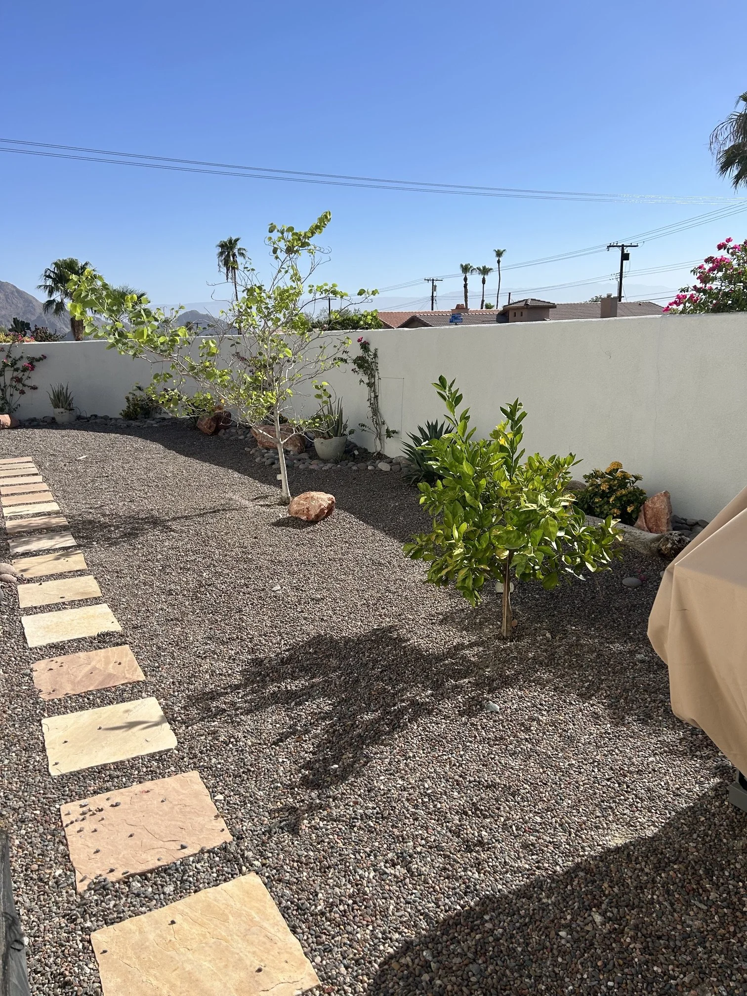 IMG_7298.jpeg