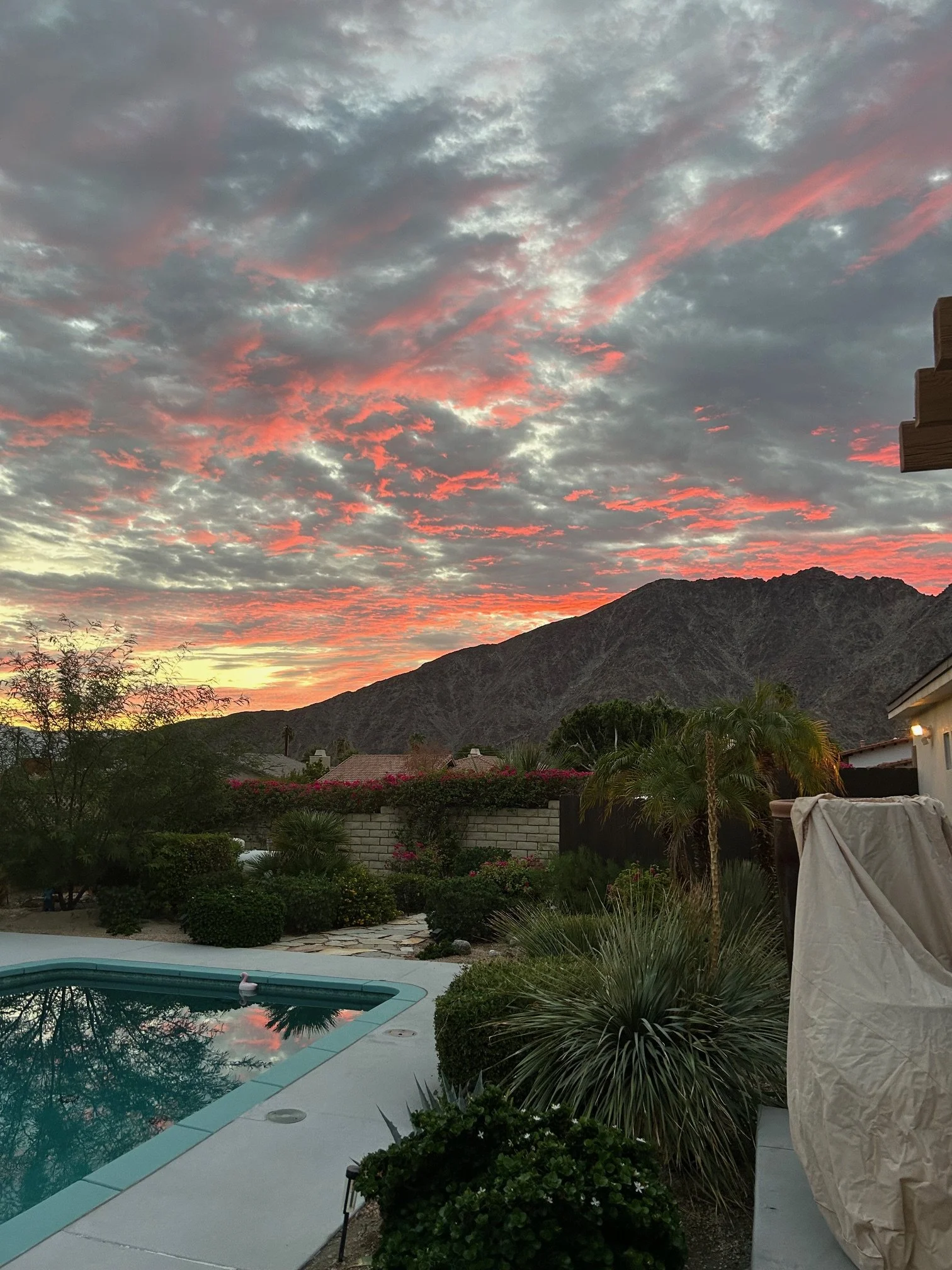 A backyard scene at sunset with dark mountains in the distance, surrounded by lush greenery, flowering shrubs, and trees. A swimming pool reflective of the sky is visible in the foreground, with outdoor furniture and a covered object nearby.
