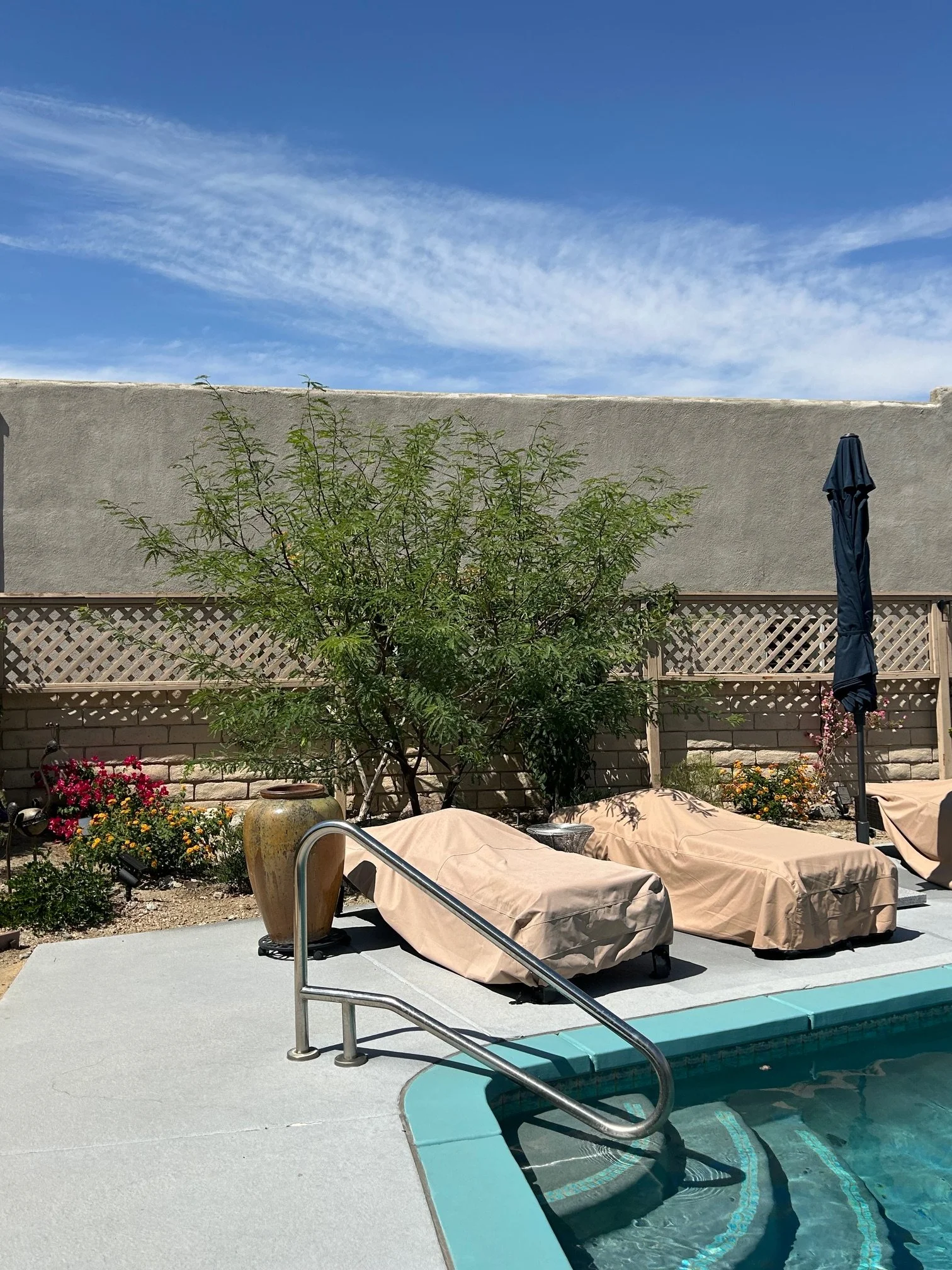 A backyard swimming pool with a metal handrail, surrounded by lounge chairs with beige covers, a large potted plant, colorful flowers, a closed outdoor umbrella, a beige fence, a gray cement patio, and a bright blue sky with some wispy clouds.