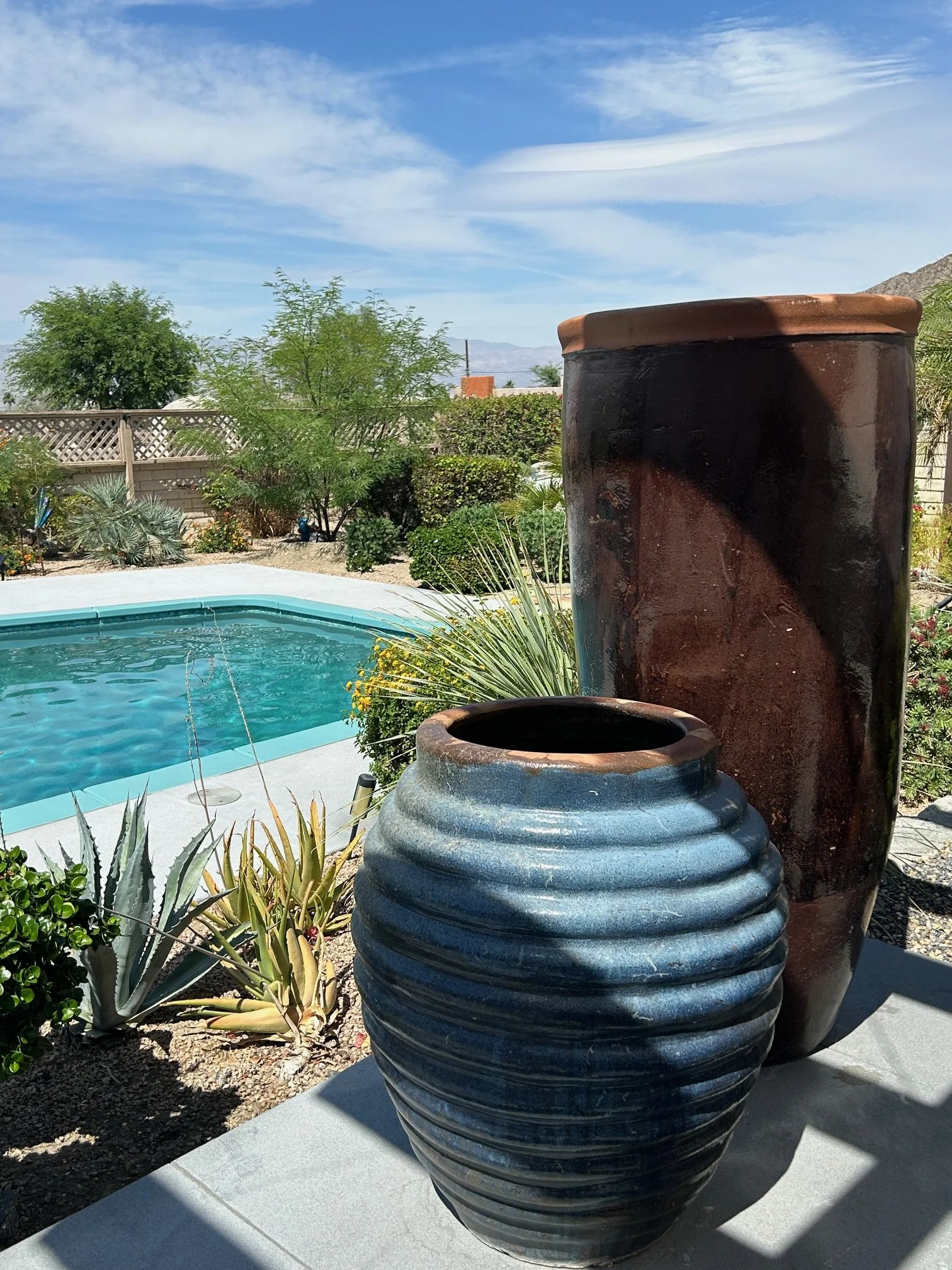 A backyard with a swimming pool, desert plants, and fanned-out pots in the foreground, with trees, a fence, mountains, and a blue sky with wispy clouds in the background.