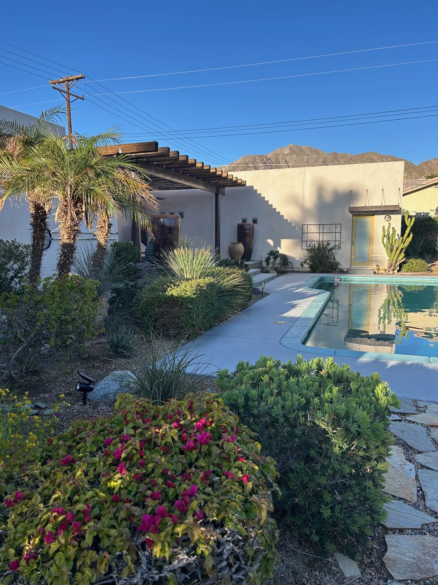 A backyard with desert plants, a swimming pool, a small building with a door, large vases, a pergola, and mountain scenery in the background on a clear sunny day.