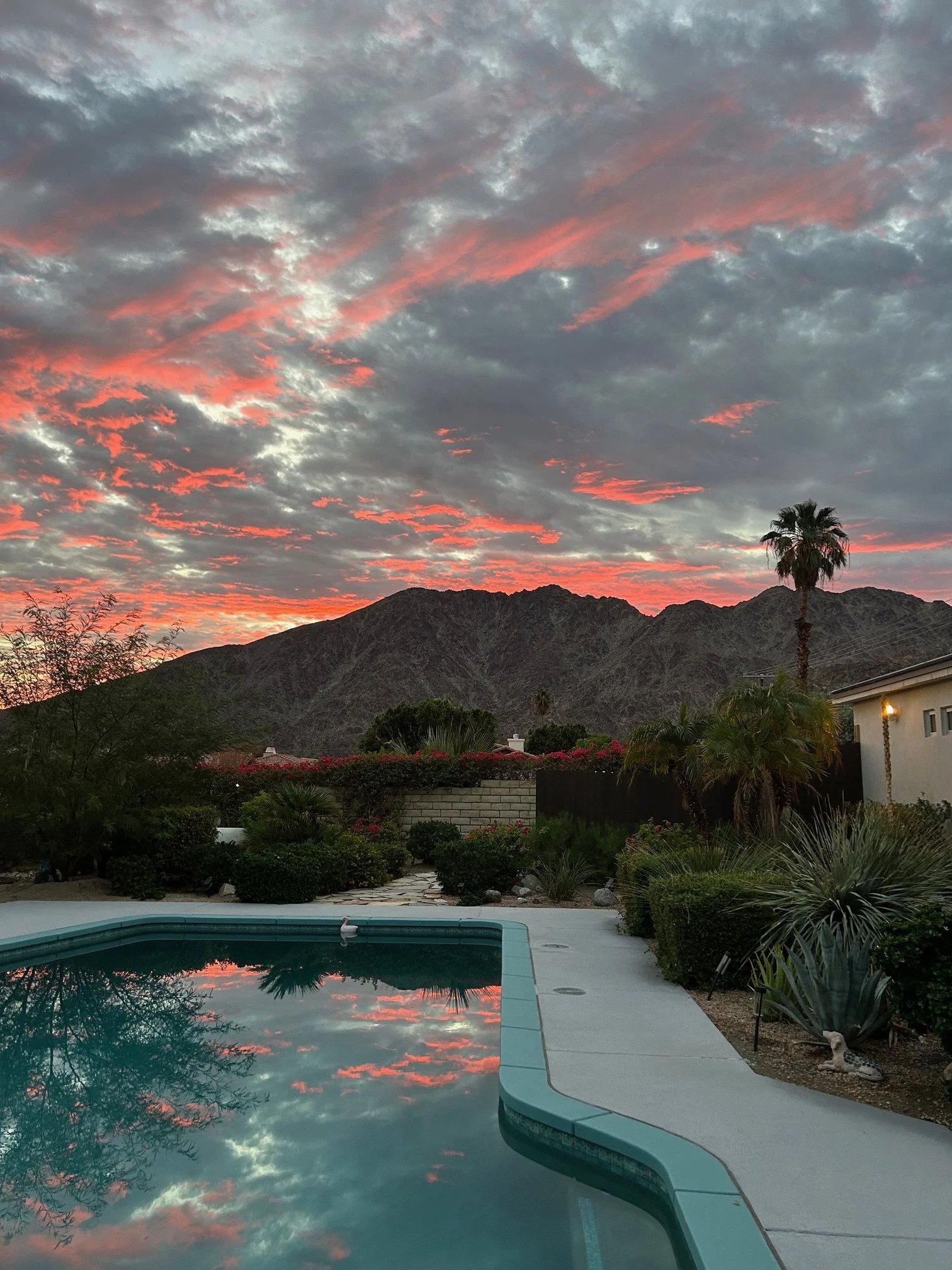A backyard swimming pool reflects a vibrant sunset sky with pink and gray clouds. Mountains and trees, including a tall palm tree, are visible in the background. There are landscaped plants and a small part of a house with a lit outdoor light.