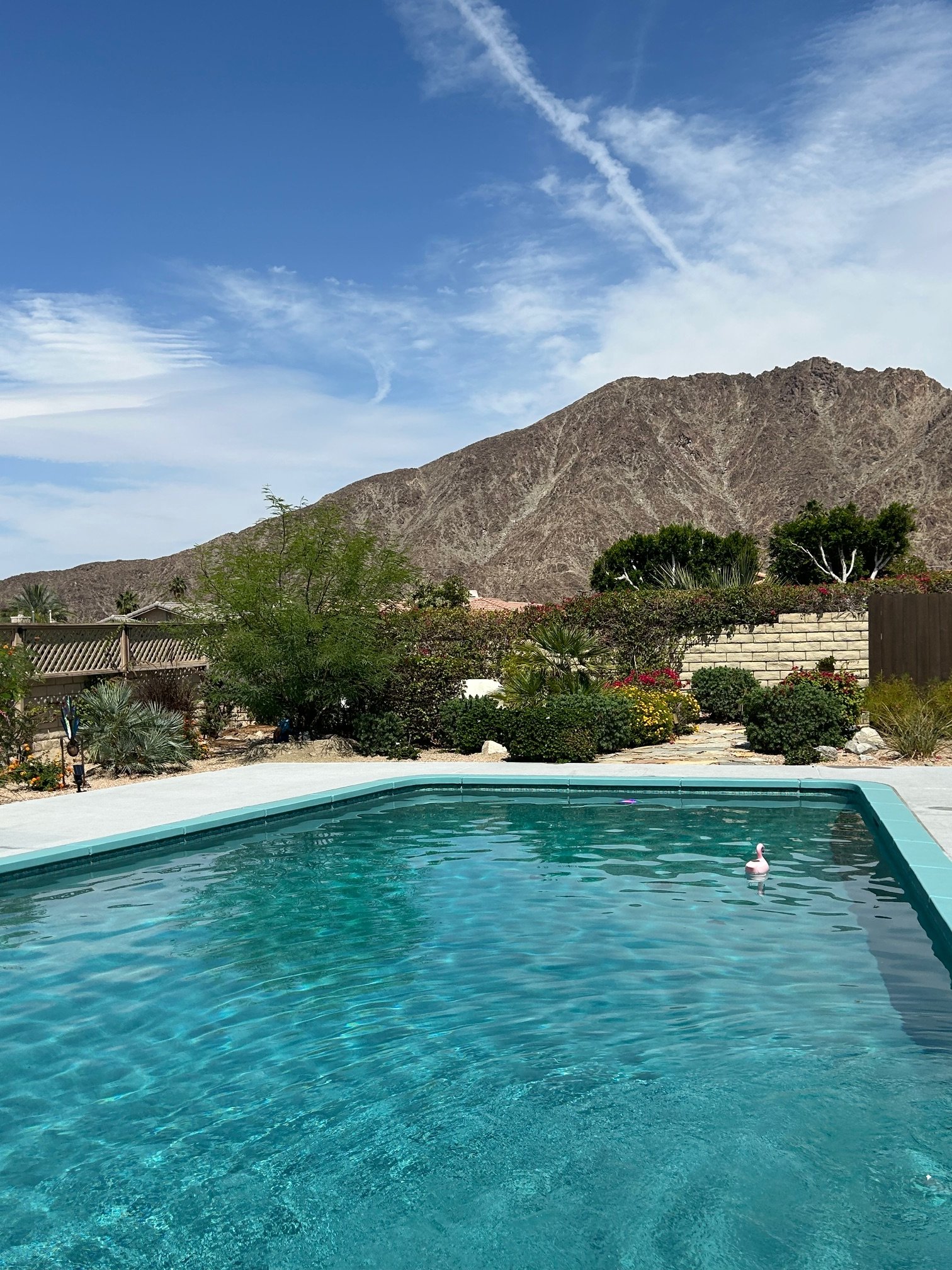 Swimming pool with a floatation duck, surrounded by plants and a mountain in the background under a blue sky with clouds.