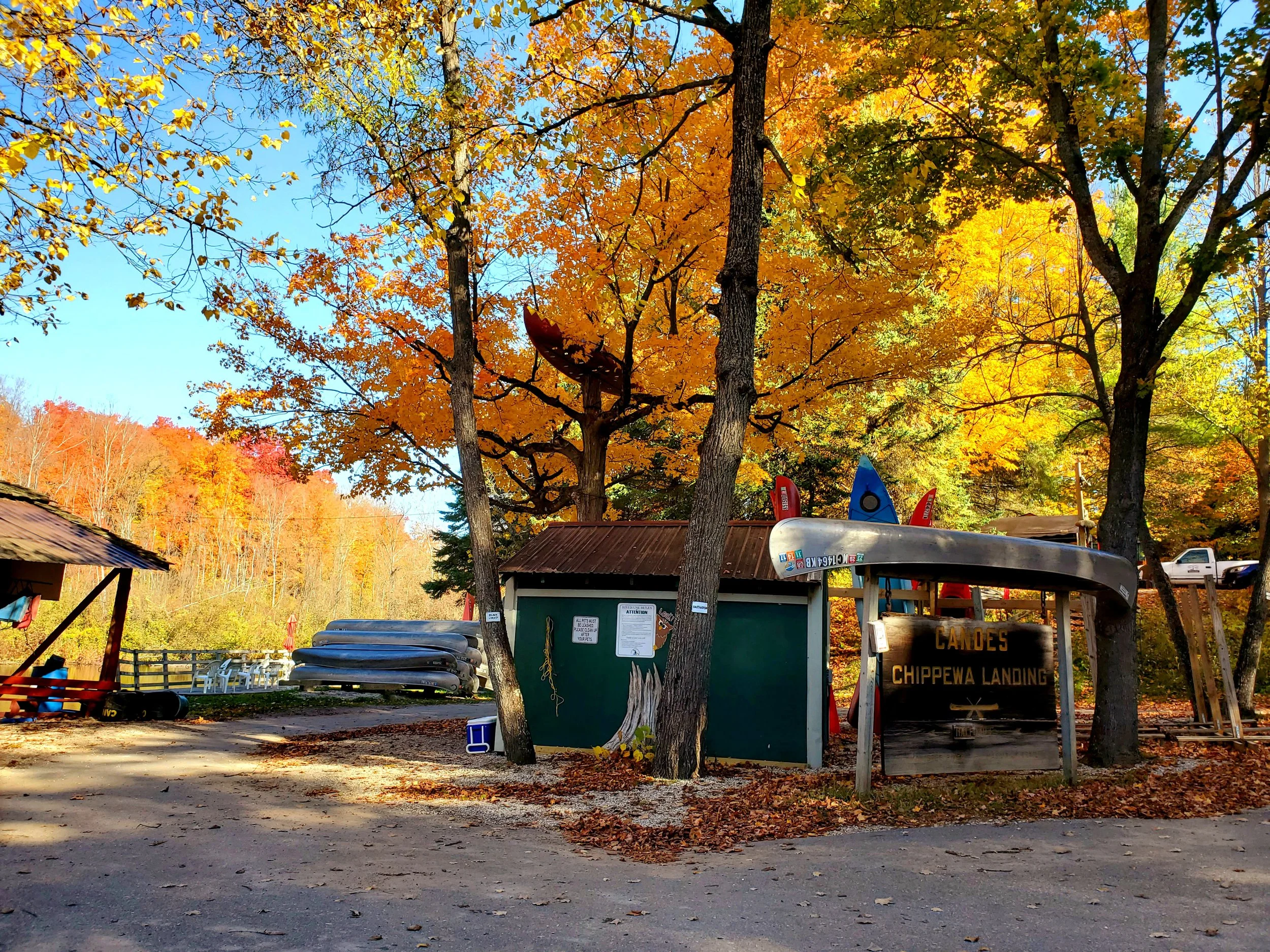 Outdoor scene with trees showcasing bright orange and yellow autumn leaves, clear blue sky, and a wooden building with kayaks and canoes stored nearby, suggesting a recreational or lakeside area.