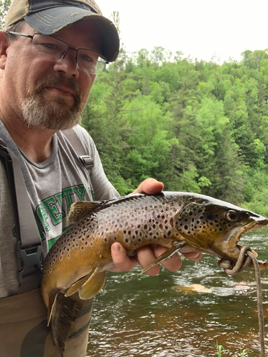 Man holding a large brown trout fish in a river with a green forest background.