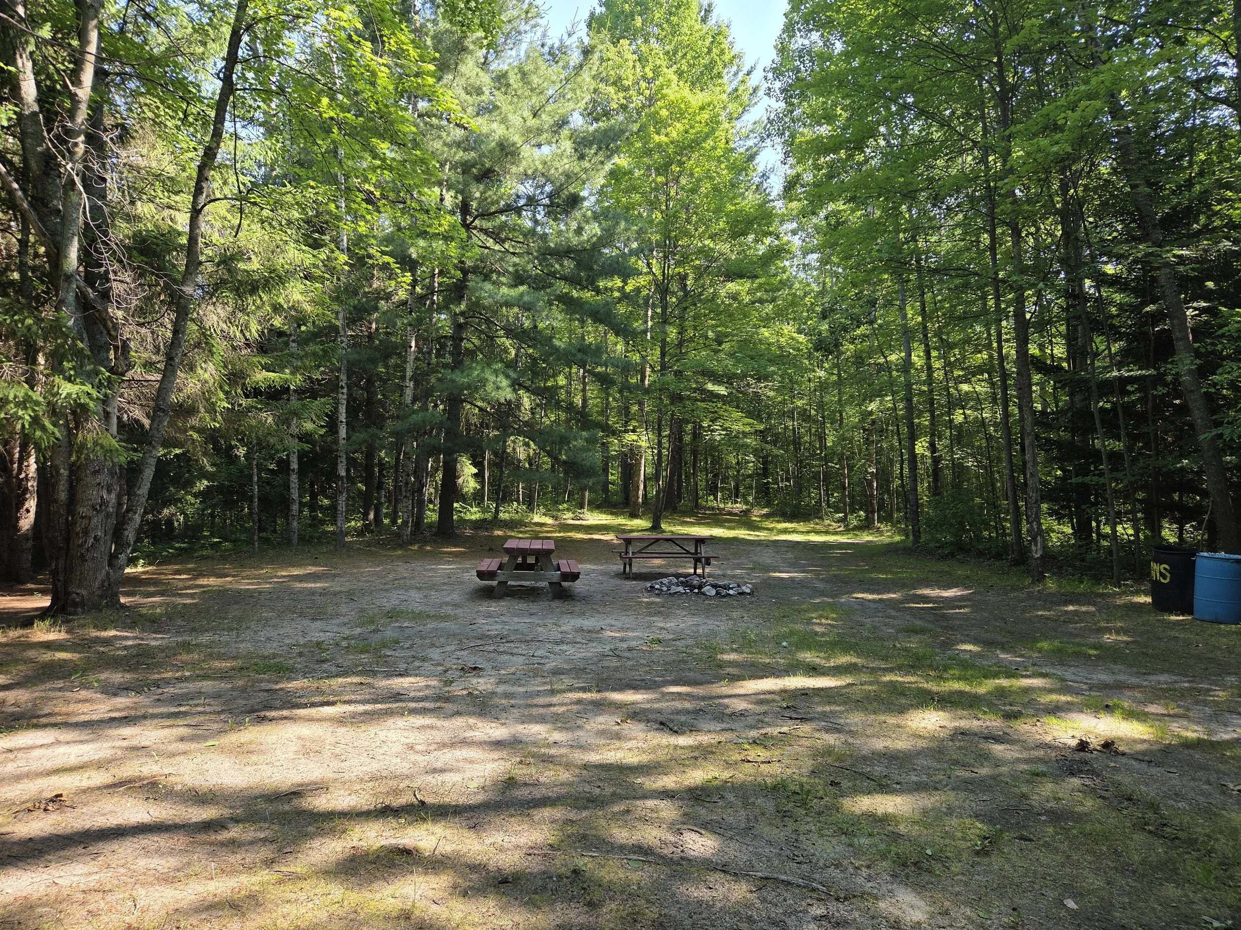 Forest clearing with two picnic tables, a campfire circle, and trees surrounding the area.