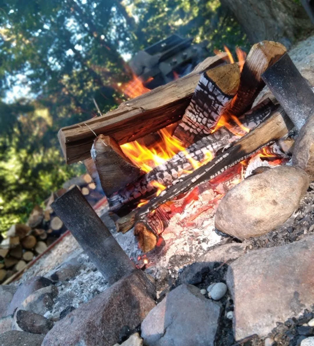 A campfire with burning logs surrounded by rocks, with trees in the background.
