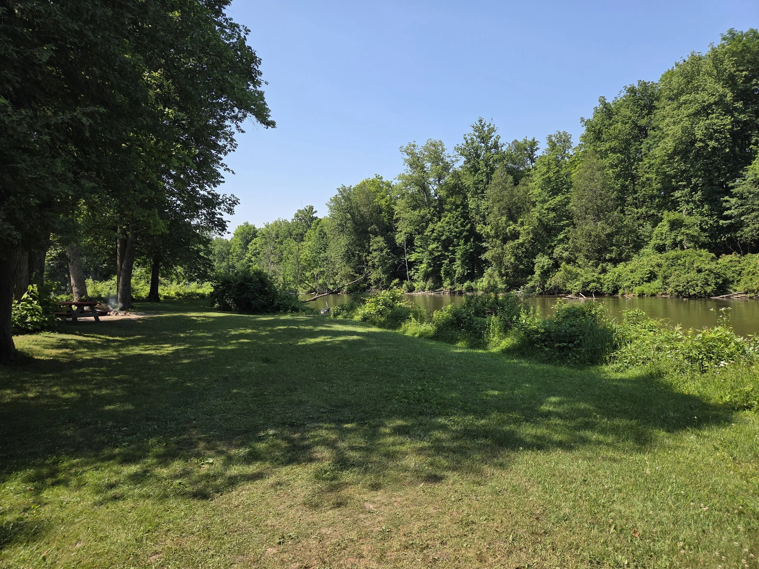 A scenic view of a river bordered by lush green trees under a clear blue sky, with a picnic table and a small campfire on the grassy area near the riverbank.