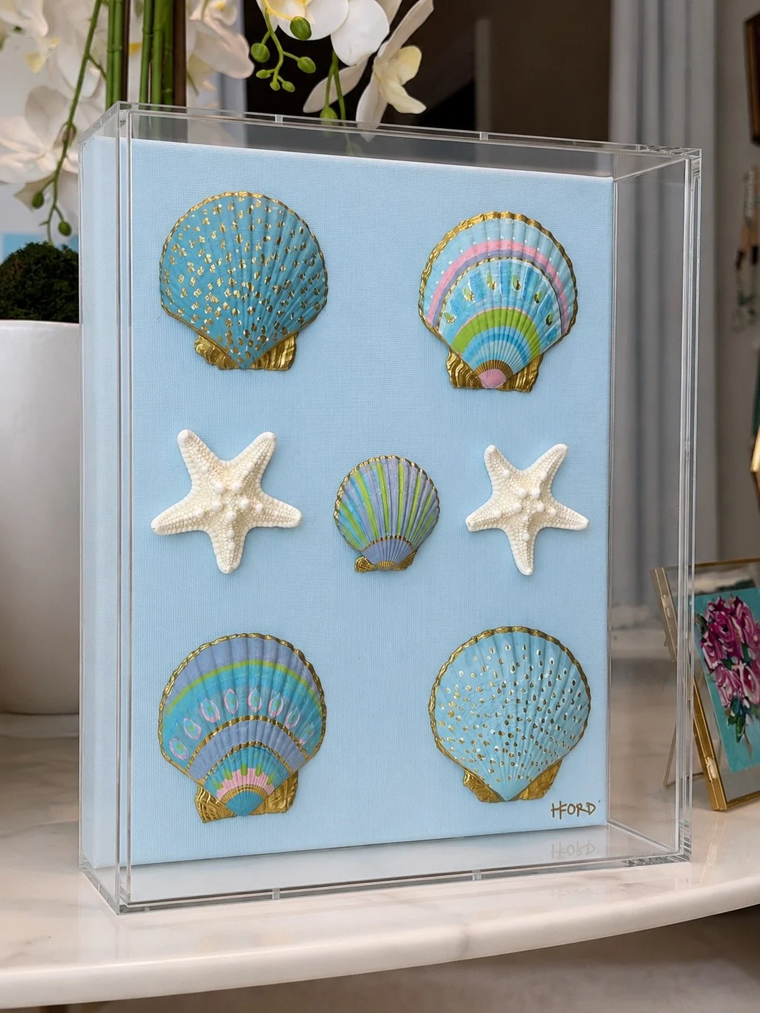 Coastal Elegance Seashell Display