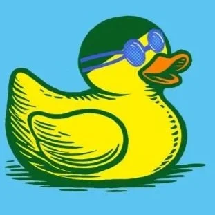 Swimming Ducks