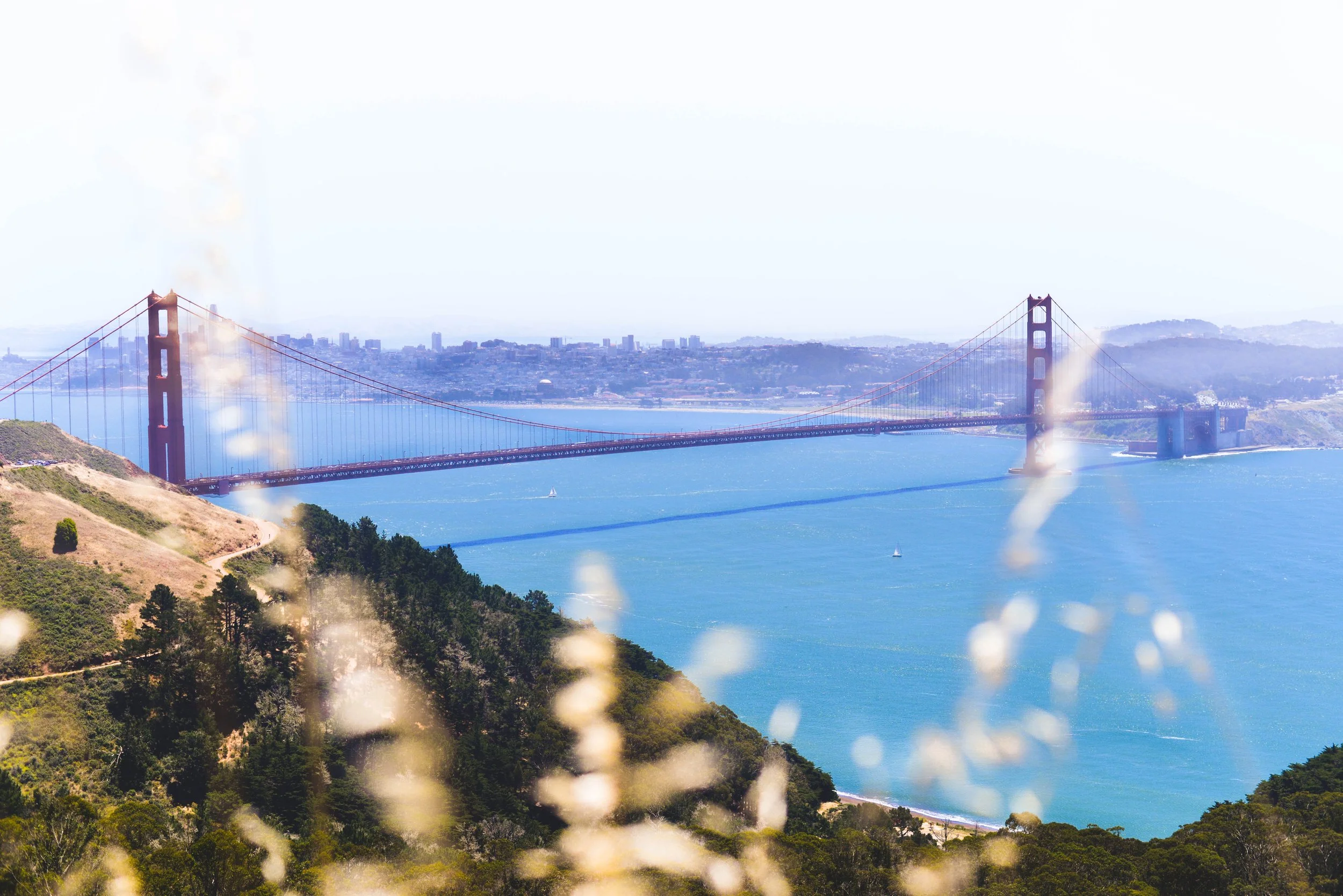 SF Layover June 2017-6.jpg