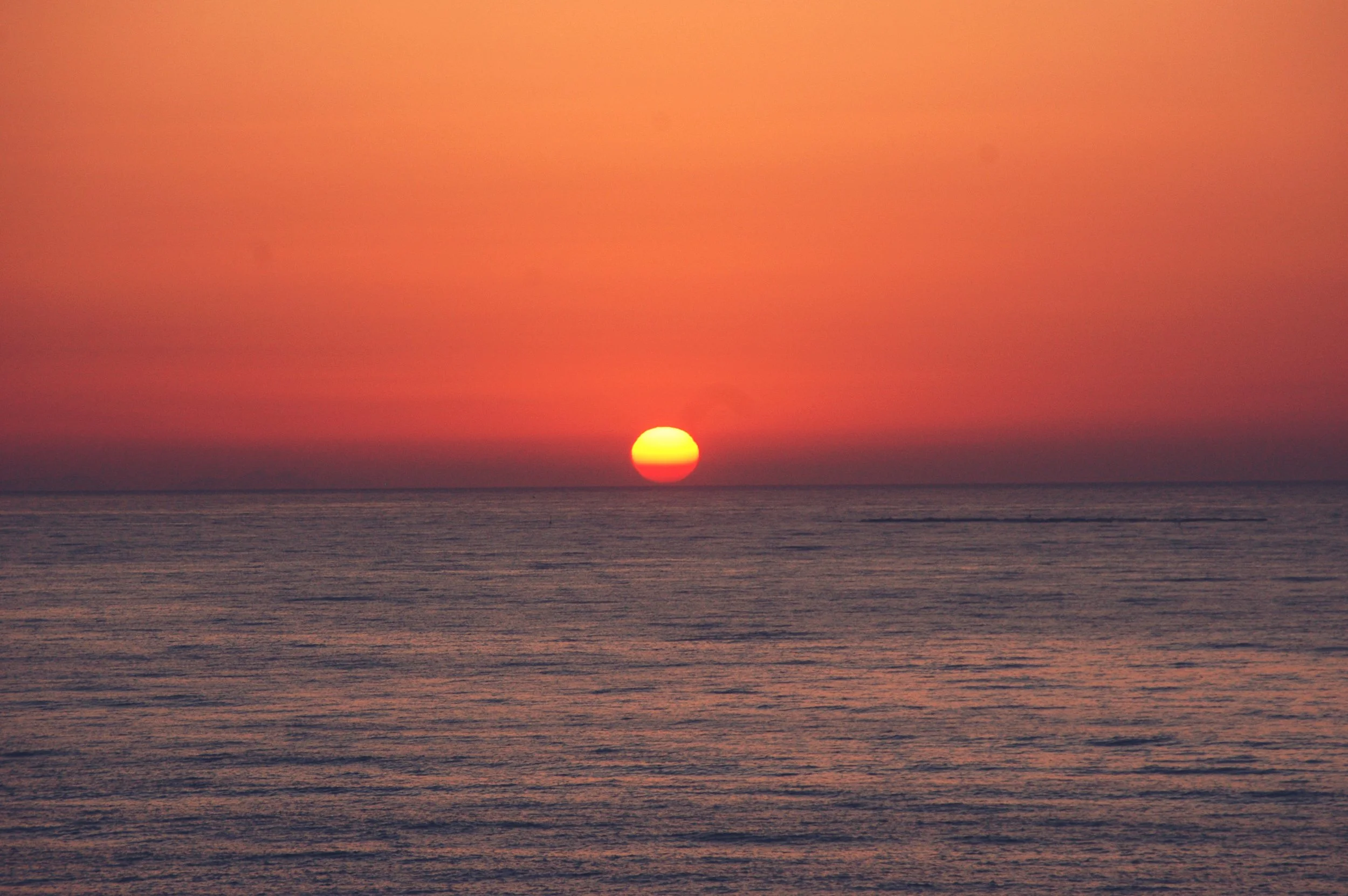 DSC_3283.jpg