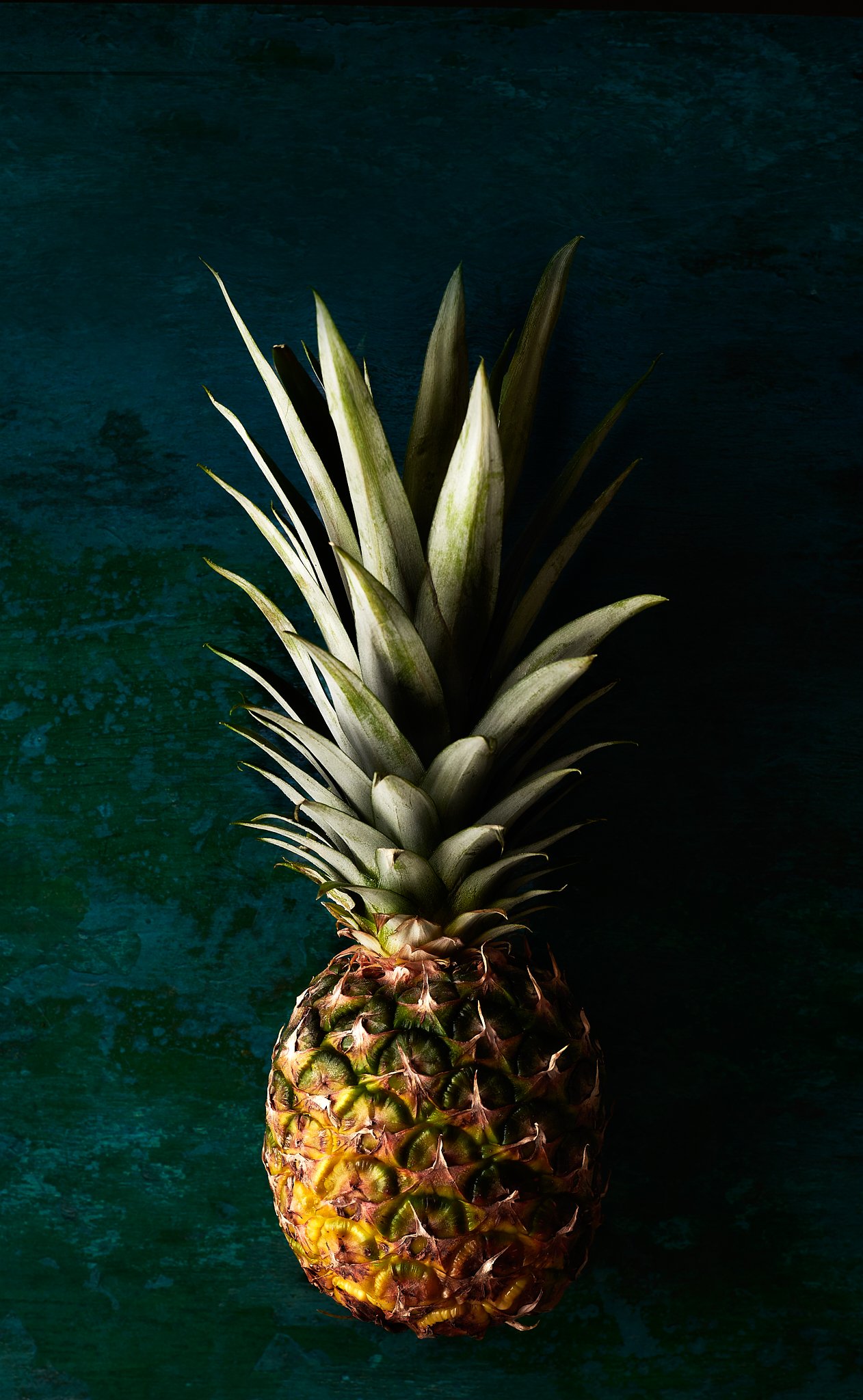 pina_web.jpg