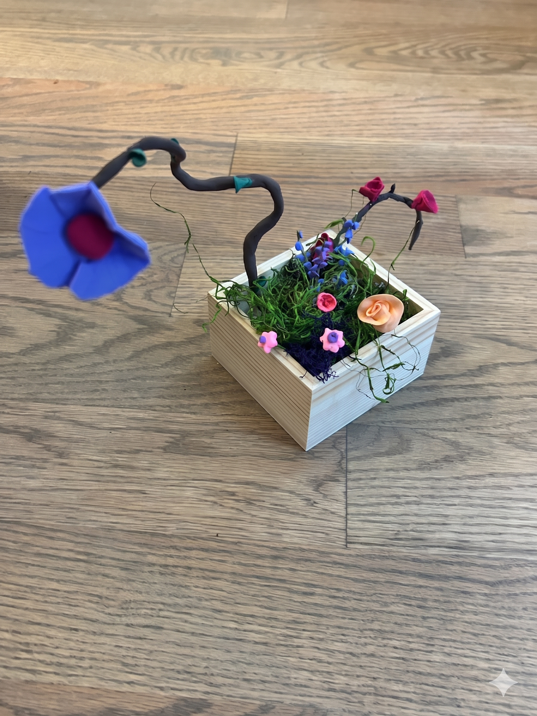 Fairy Garden