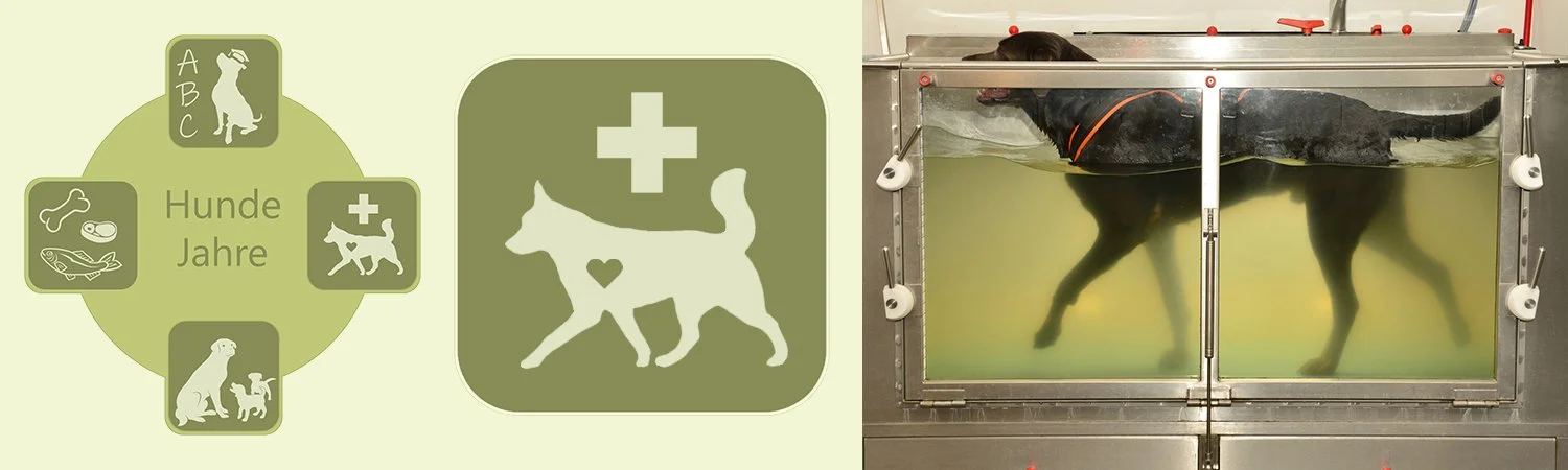 Banner der Tierphysiotherapie mit Unterwasserlaufband