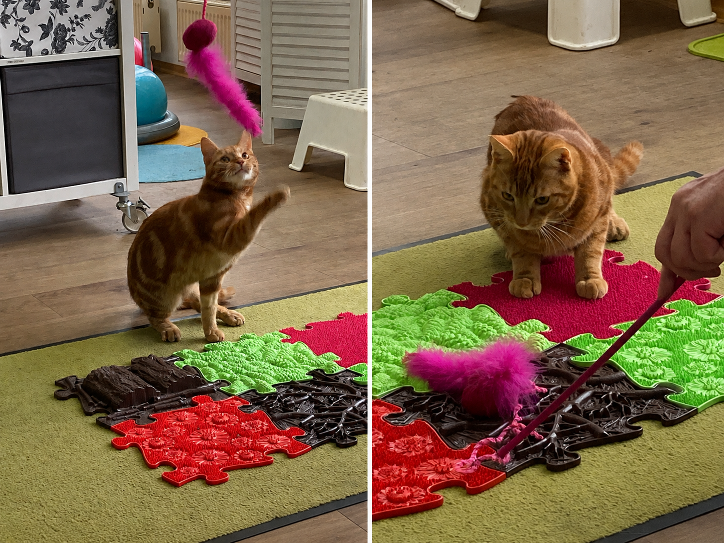 Katzenphysiotherapie-Sensorikmatte-Spieltraining-HundeJahre-Velten