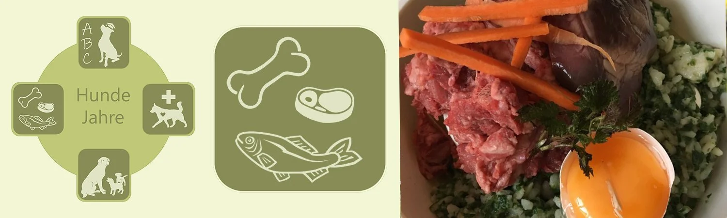 Banner der Ernährungsberatung mit Frischfutter im Napf