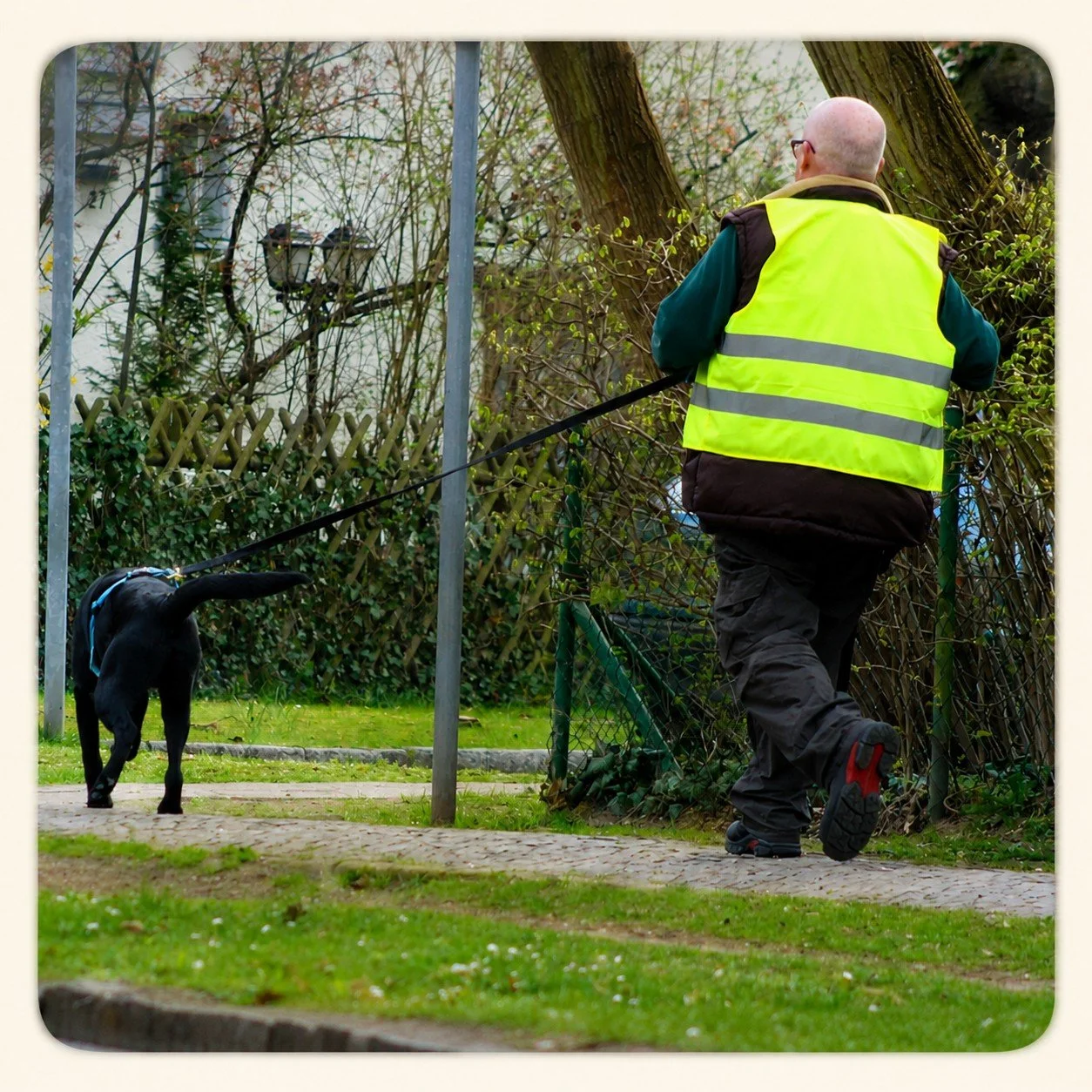 Mantrailing Training mit Hund in Hennigsdorf – HundeJahre Hundeschule