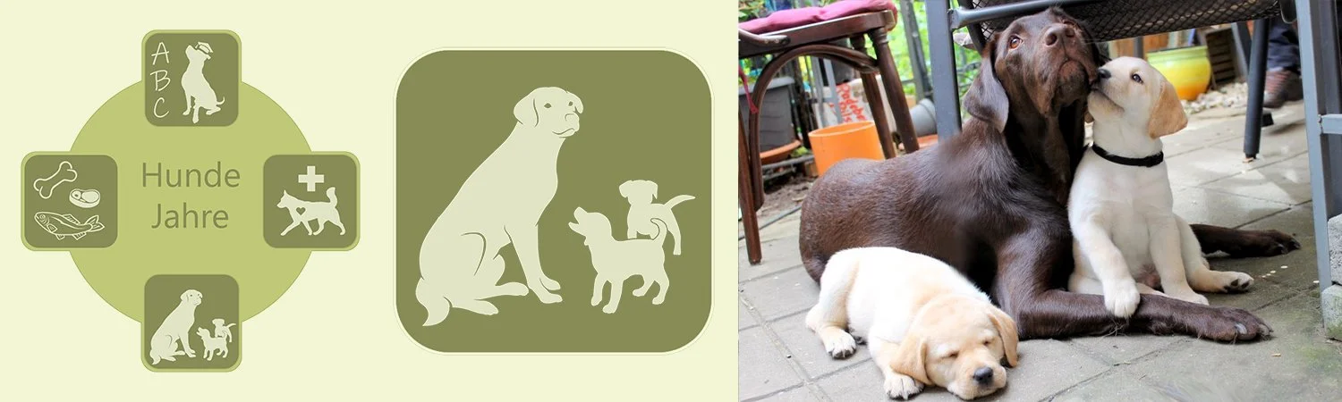 Banner der Labradorzucht mit Mutterhündin und Welpen
