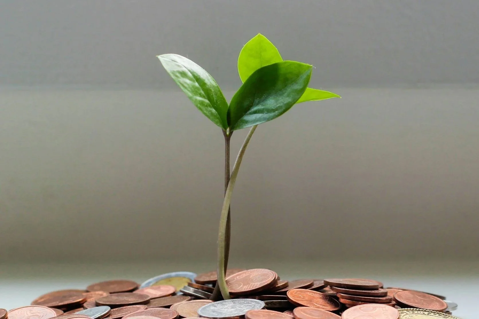 For Churches: Endowment Management
