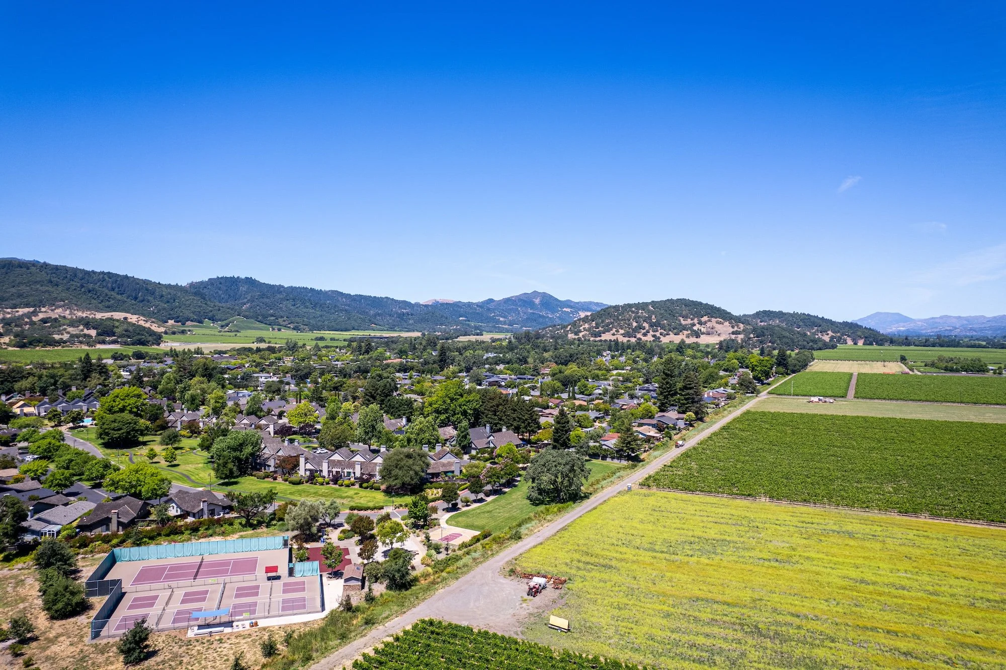 A scenic view of a suburban community with houses, green fields, vineyards, and distant mountains under a clear blue sky.