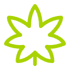 Cannabis