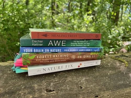 Research-backed benefits of forest bathing