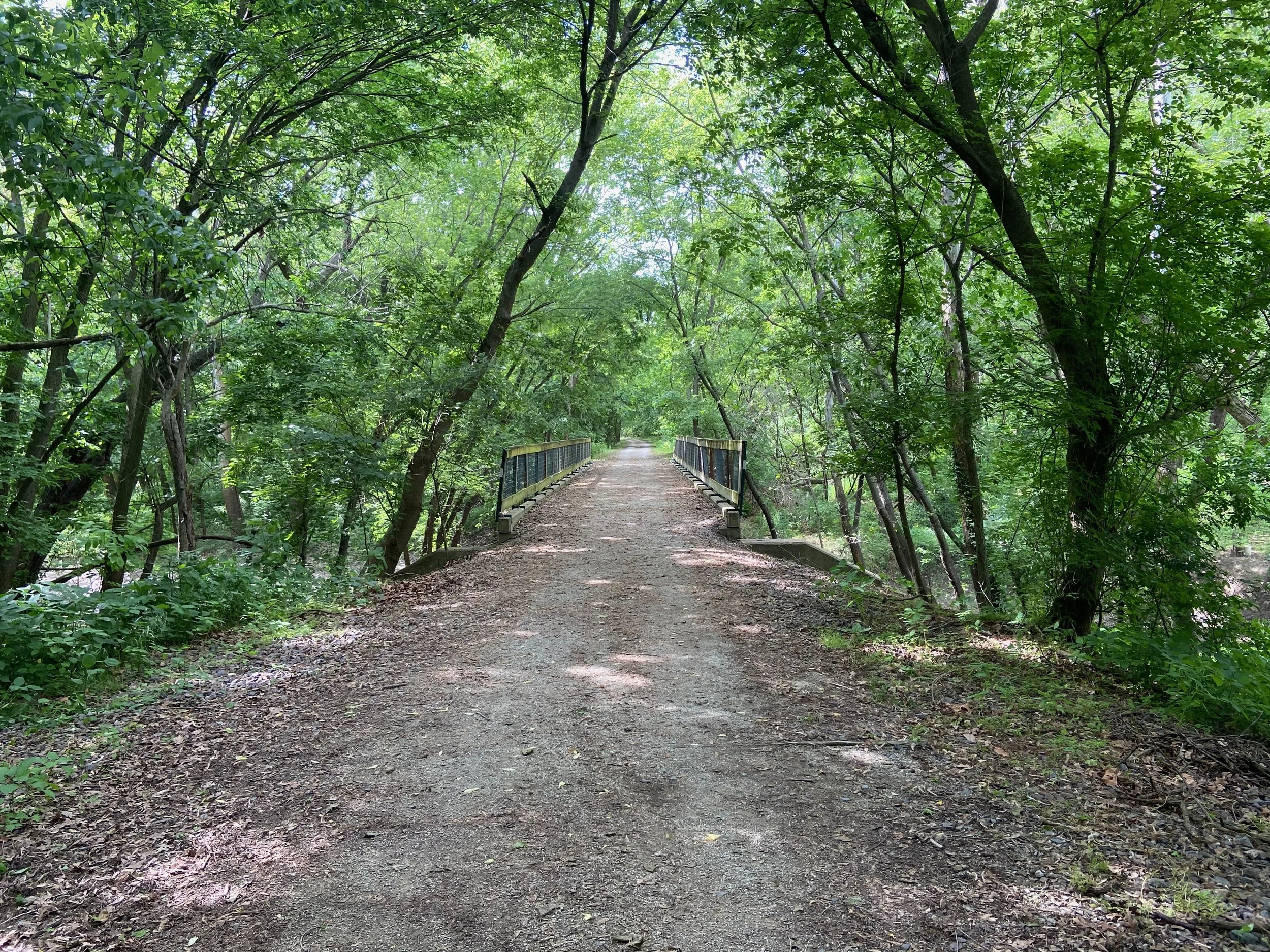 Picture of a rail trail bridge through a forest in Kansas