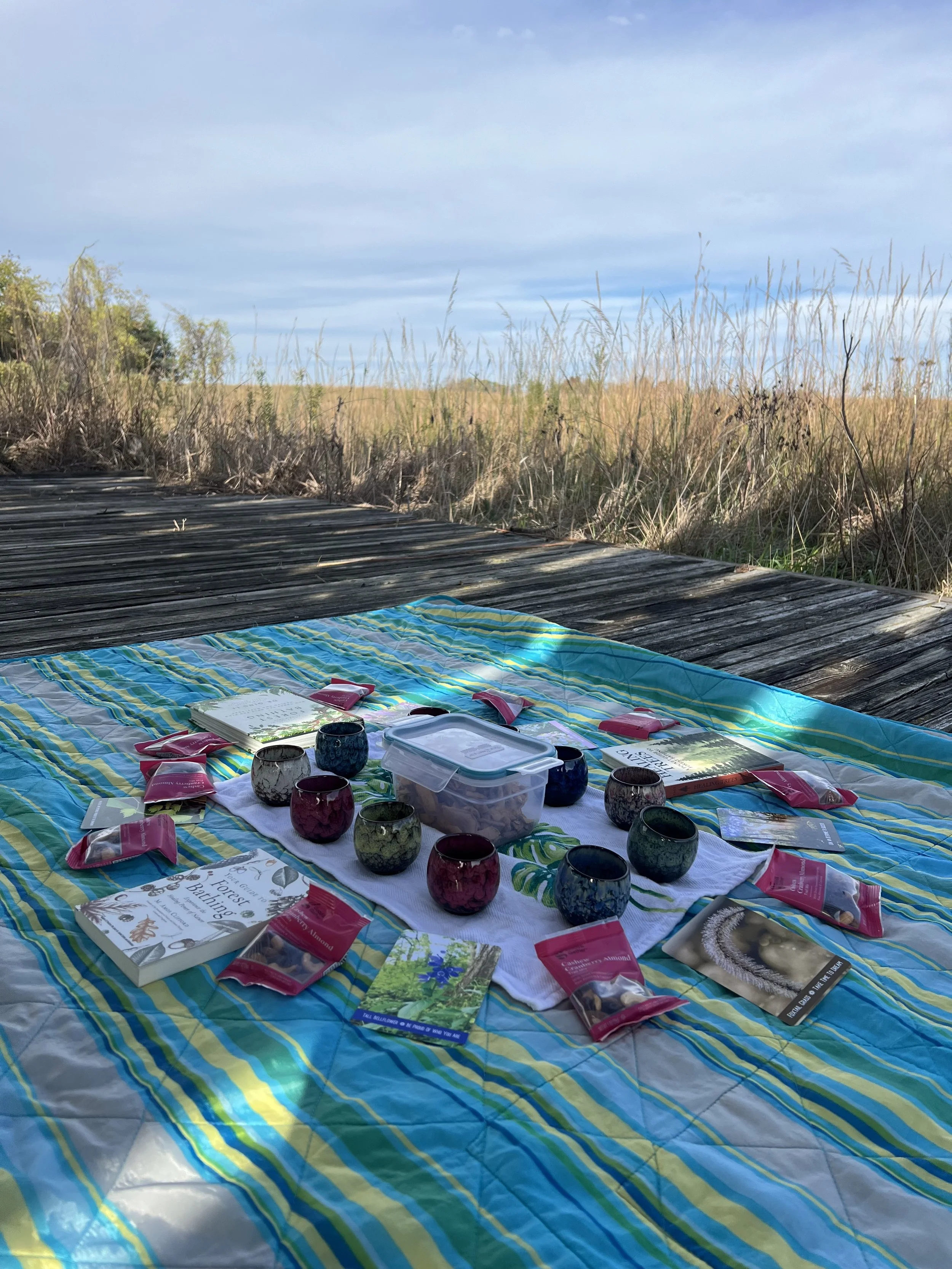 Picture of a blanket with tea cups and snacks at the end of a forest bathing event on a deck looking out at a natural prairie in Lawrence Kansas