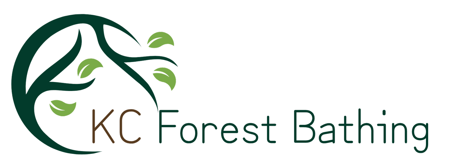 KC Forest Bathing - Forest Therapy and Nature Experiences in Kansas City