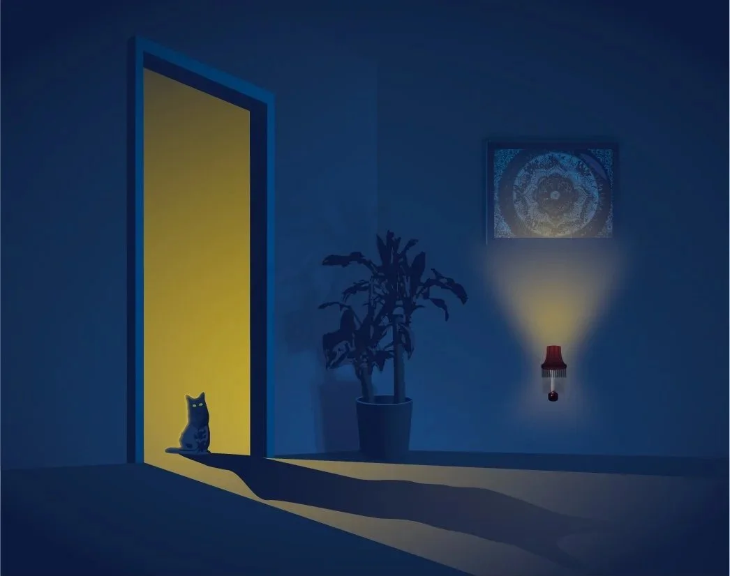 Shadow+Cat2.jpg