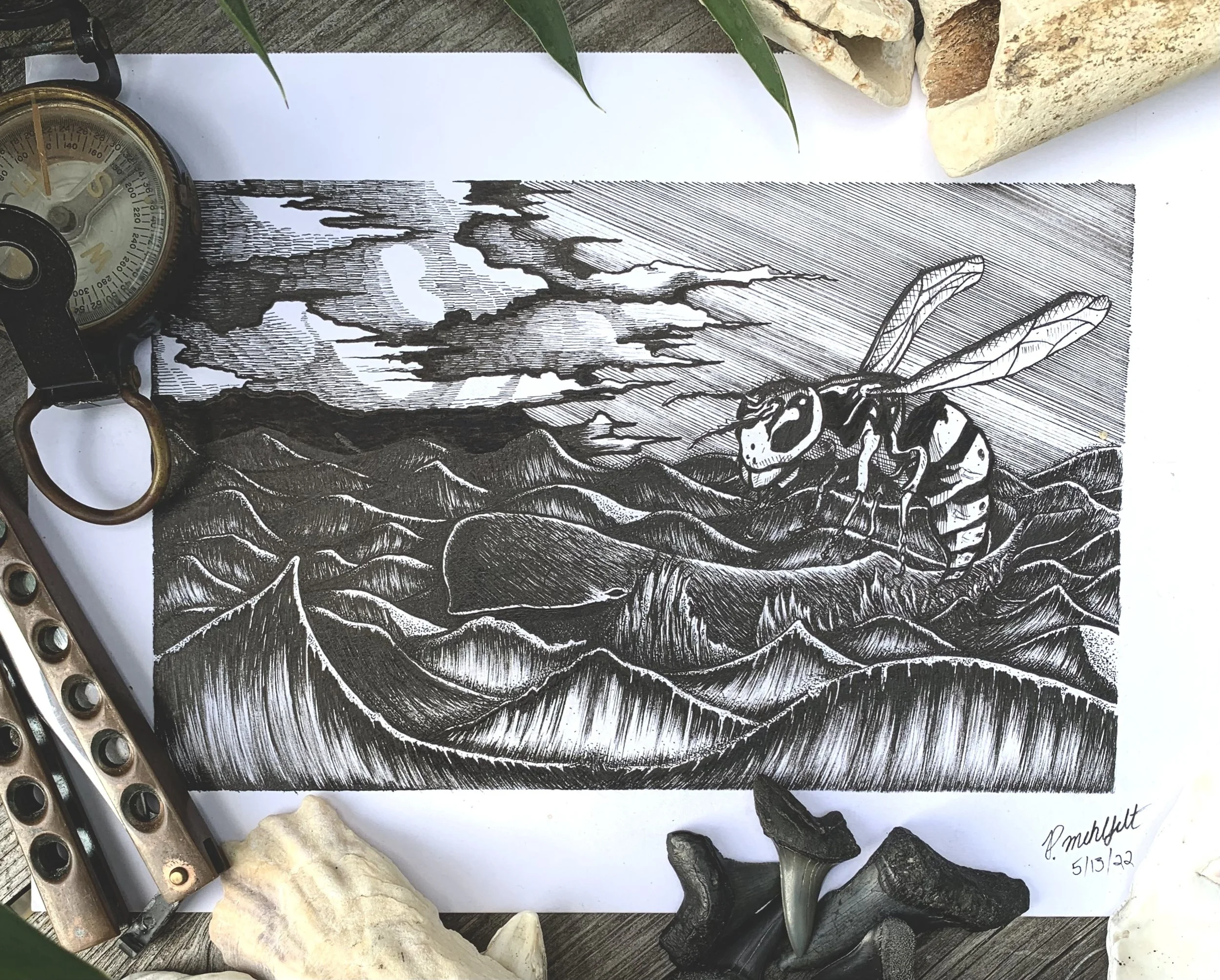 Whale and Wasp.jpg