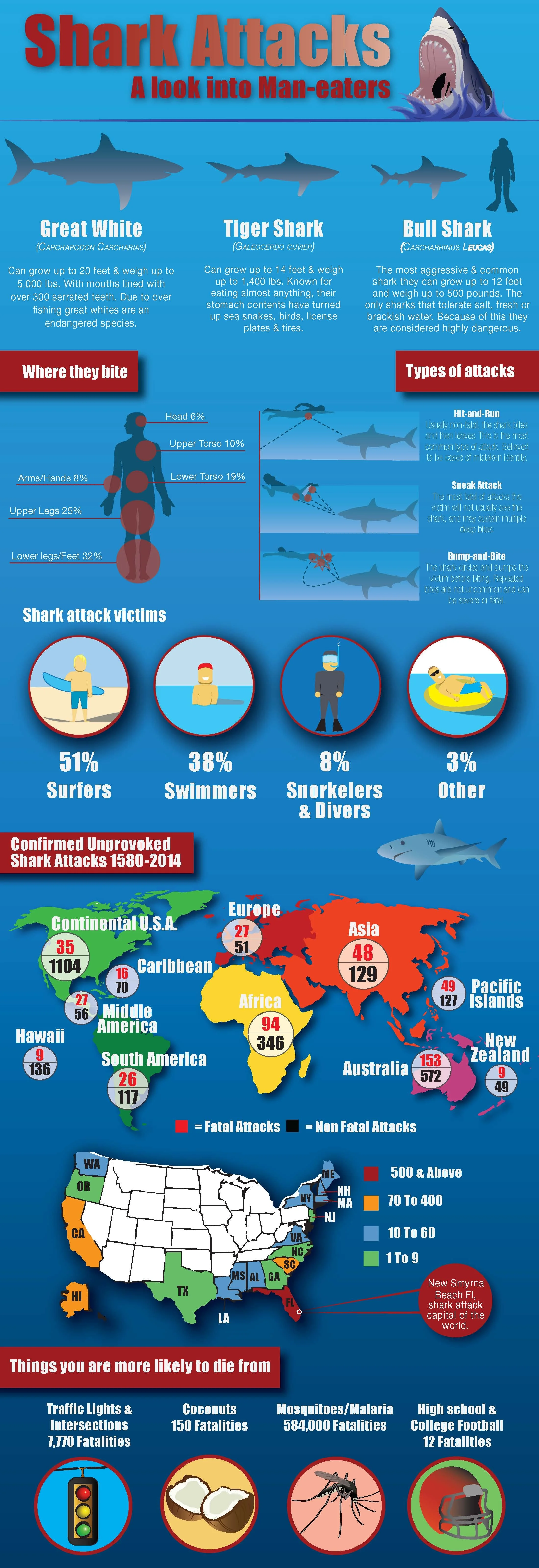 shark attack infographic_final.jpg