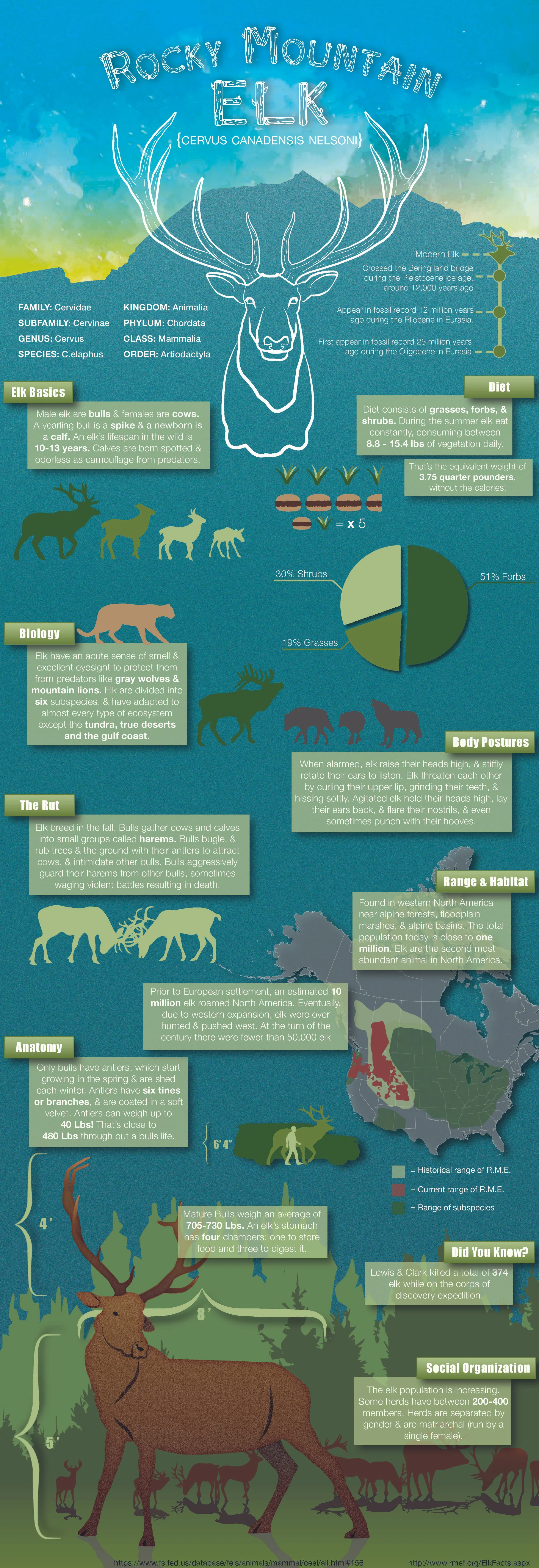 ELK-Infographic 2018FINAL.jpg