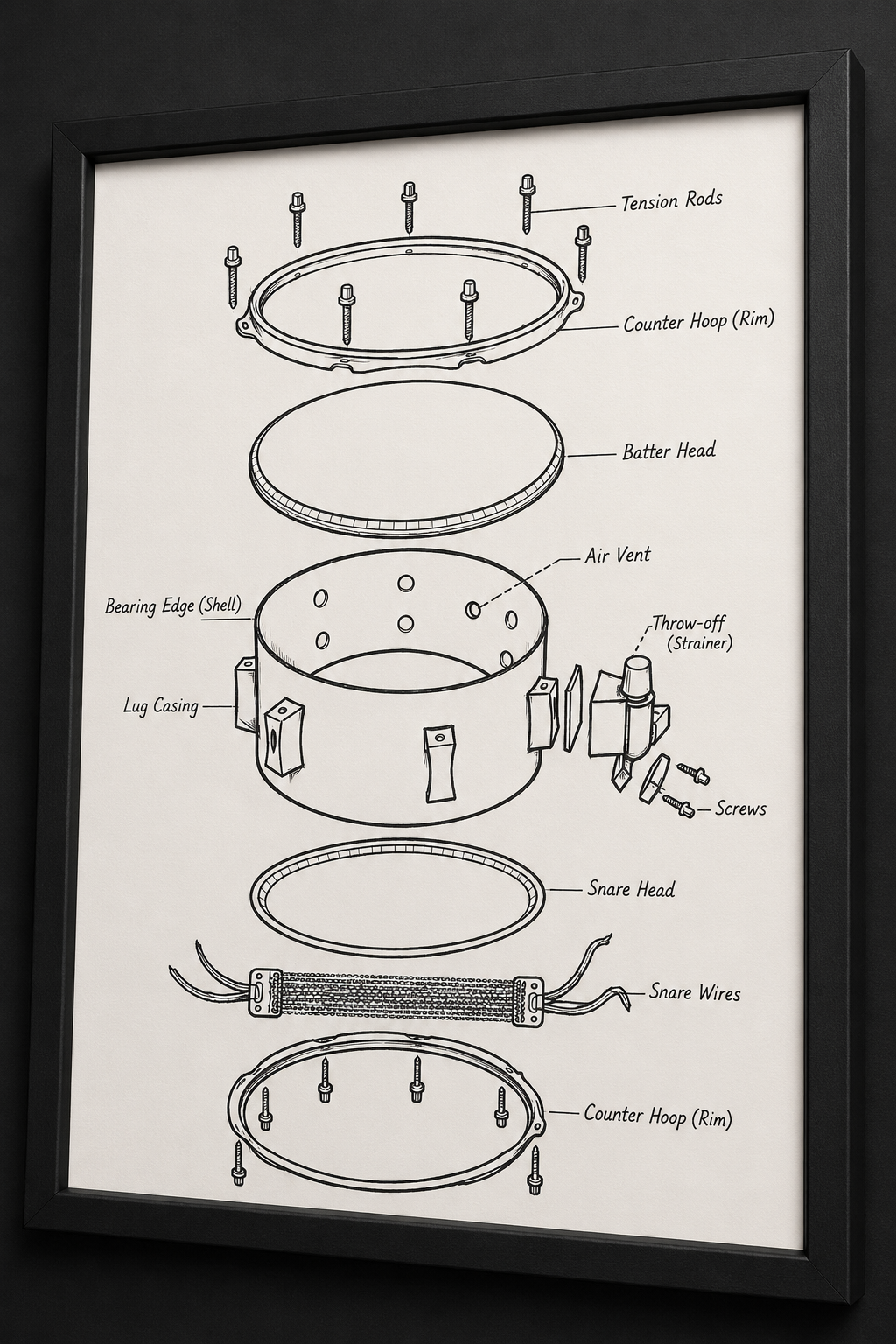 Snare Drum Exploded View.png