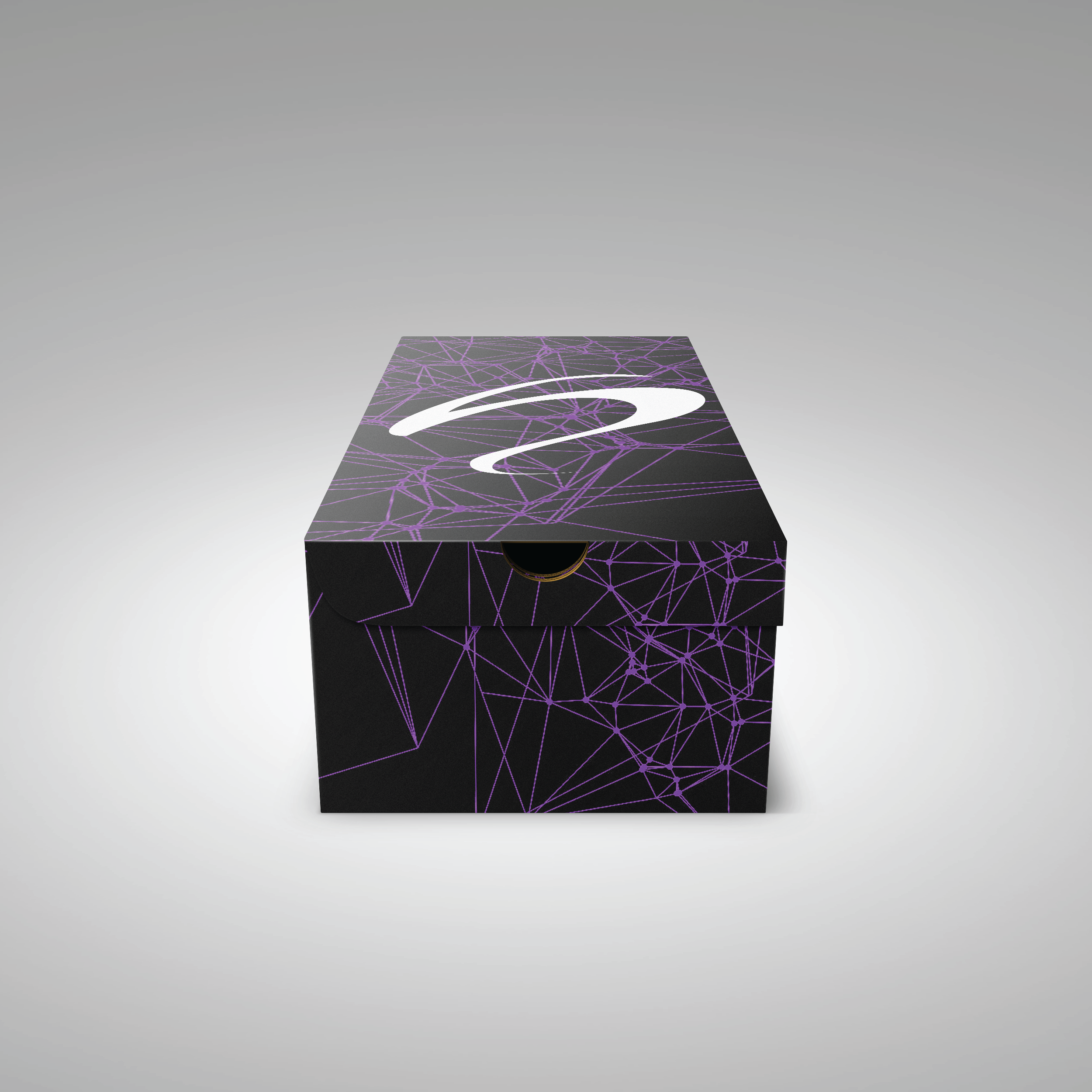 shoe_box FINAL.png