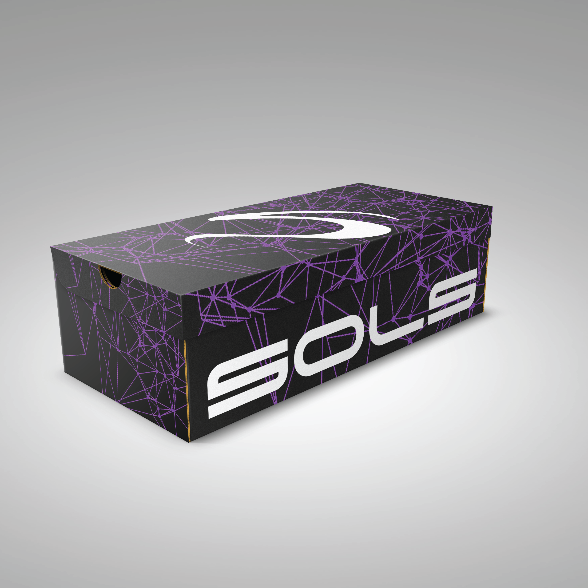 shoe_box FINAL2.png