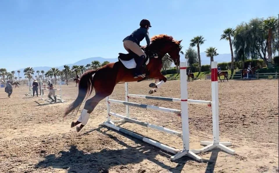 A person riding a horse over a jump during an equestrian event at an outdoor arena with palm trees in the background.