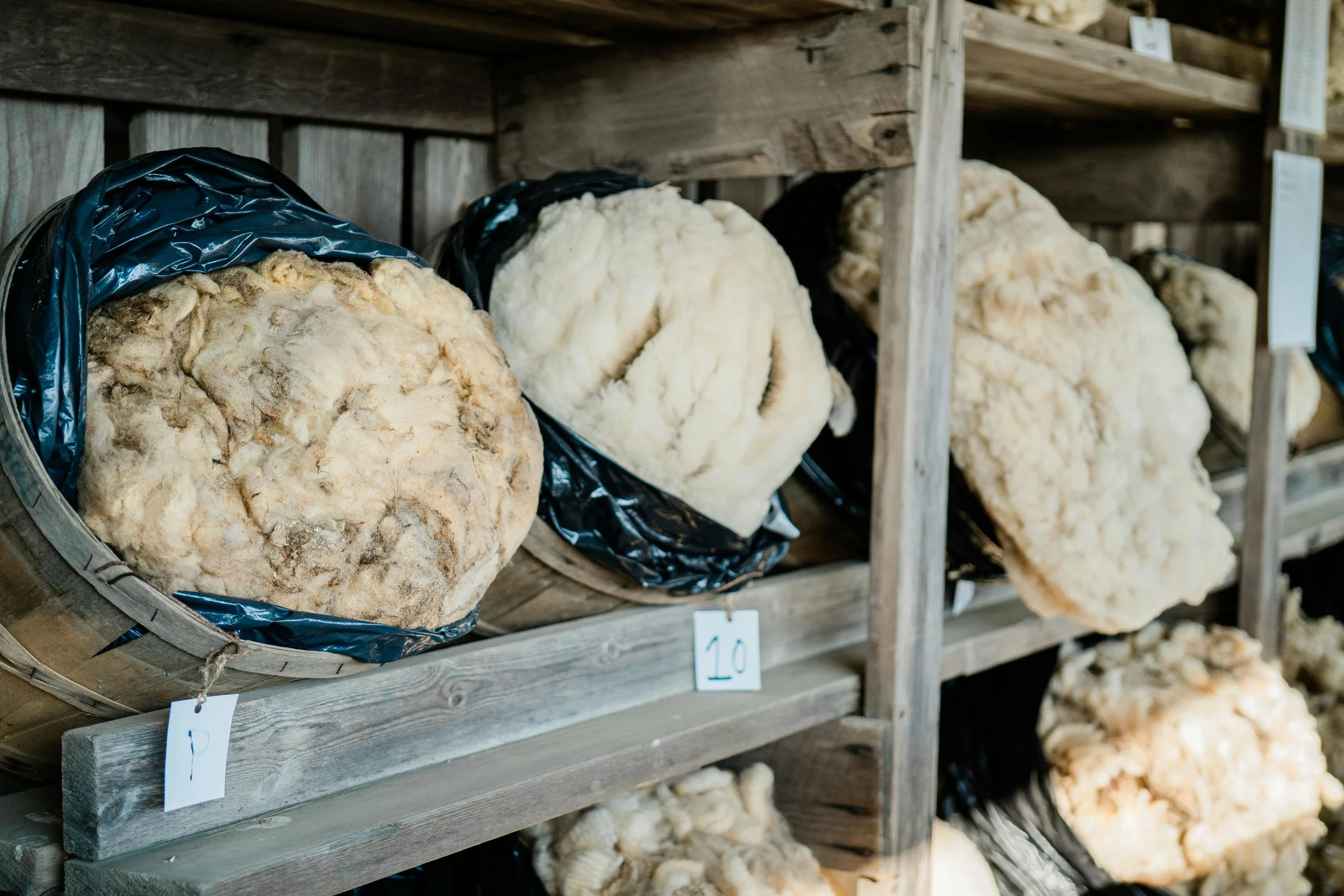Wool Sorting and Skirting Workshop
