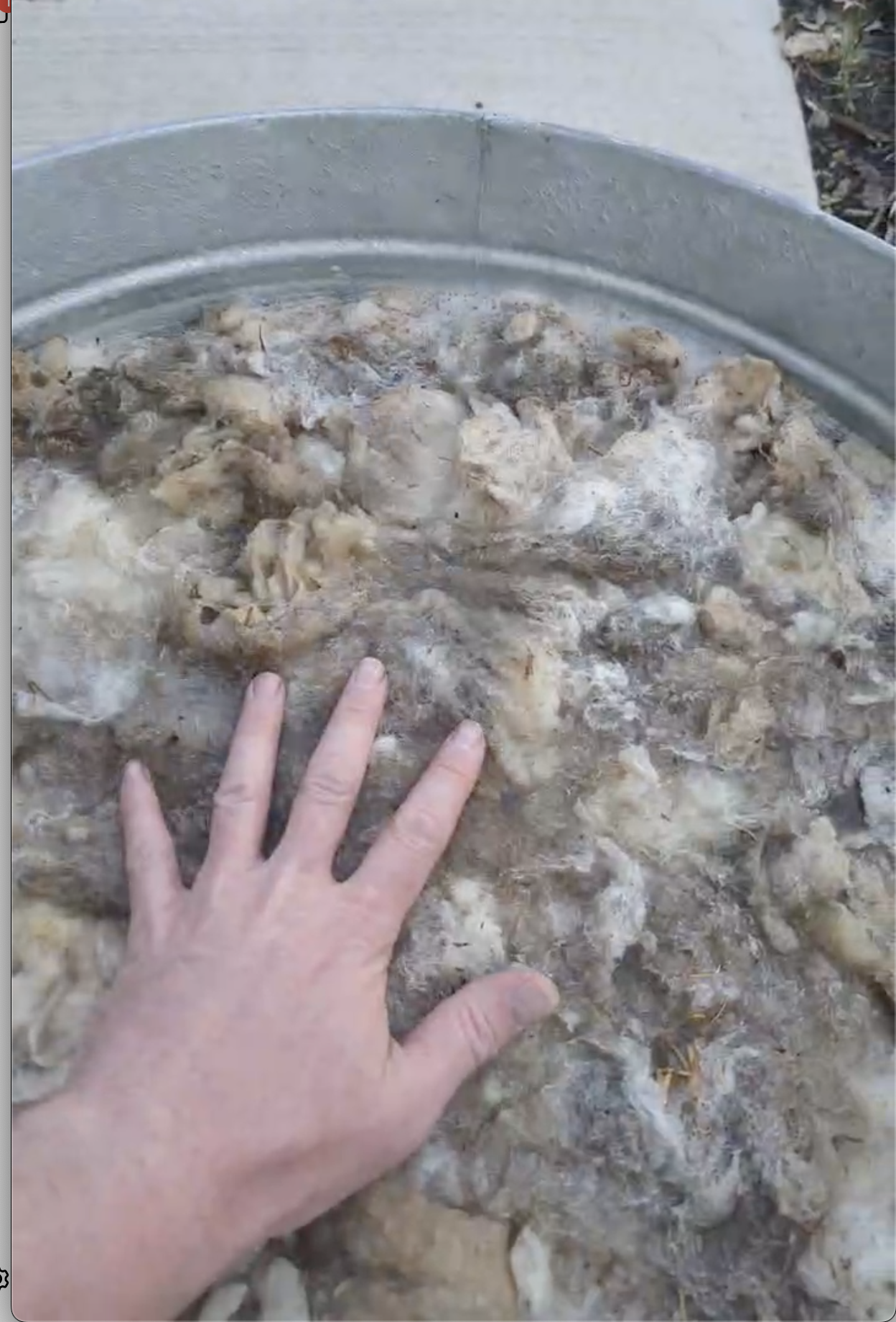 Raw Fleece Processing Workshop