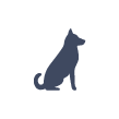 dog icon