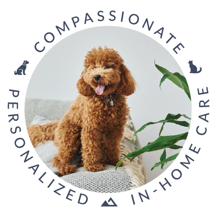 A happy brown poodle puppy sitting on a couch next to a green plant. Compassionate, personalized, in-home care text surrounding the image.