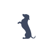 dog icon