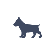 dog icon