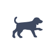 dog icon