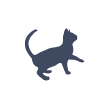 cat icon