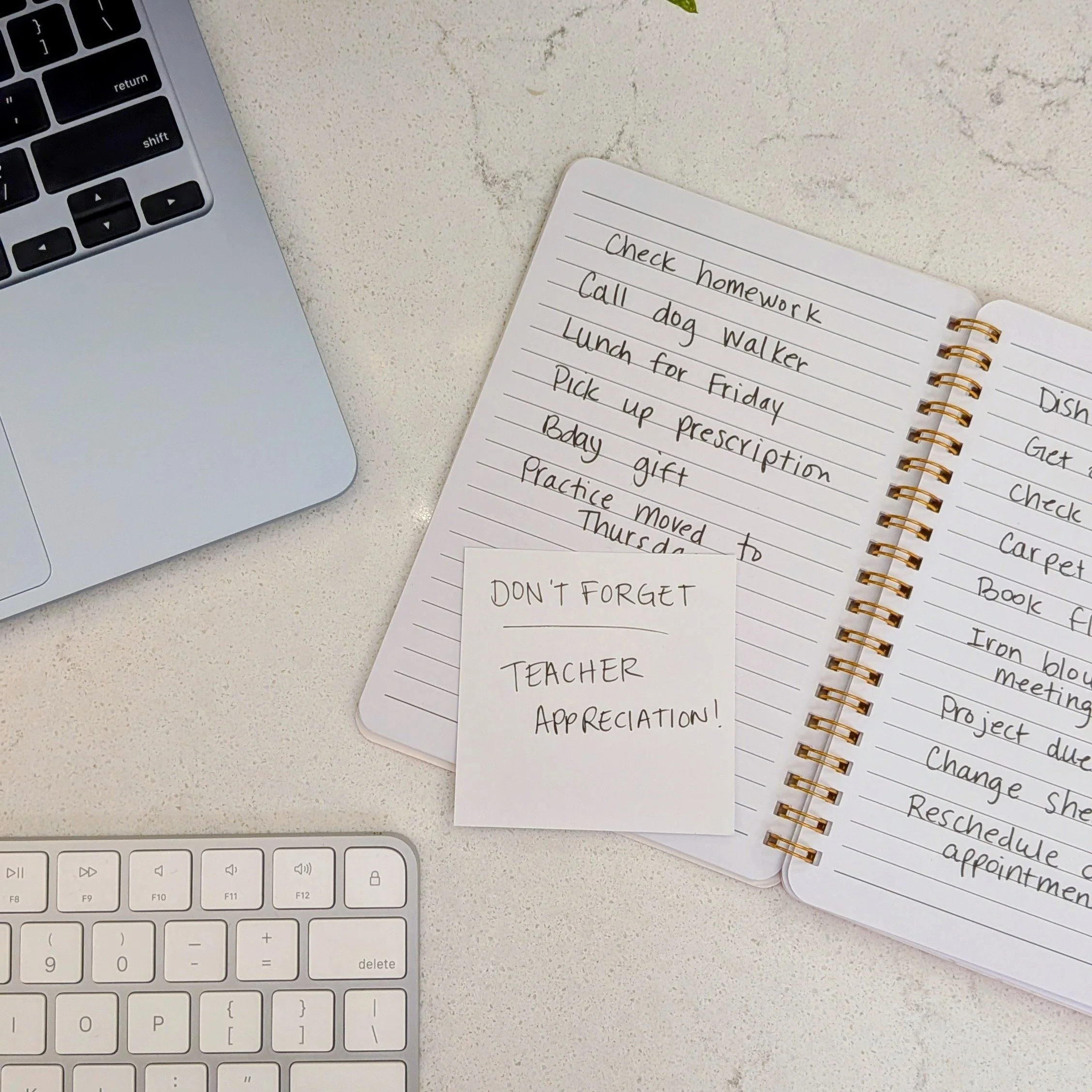 You've been carrying your to-do list in your head all week. The grocery run, the prescription, the birthday gift, the permission slip, and on and on and on. Lighter Home takes it off your plate. #mentalhload #invisiblelabor #comehometocalm