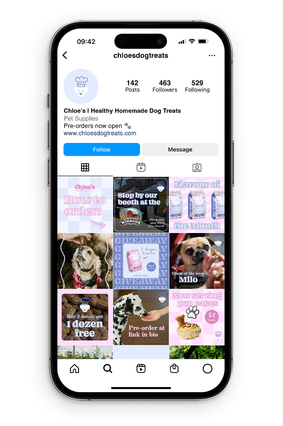 chloes-insta.png