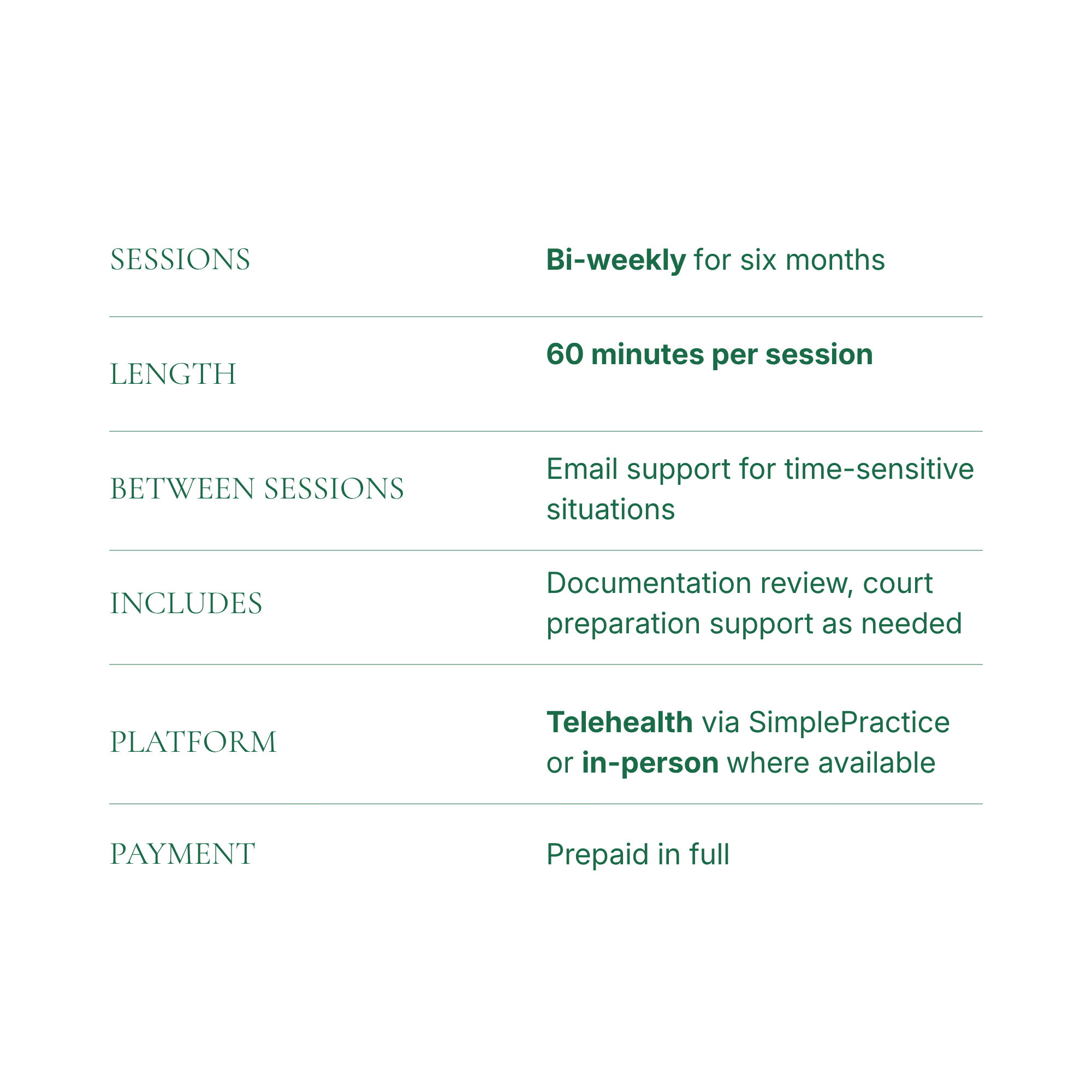 Flowchart depicting a telehealth service process, including sessions, length, supports, platform, payment, and reimbursement methods.